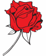 13LF rød rose